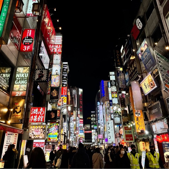 Meet your Posher, Addison - Picture 6 of 6